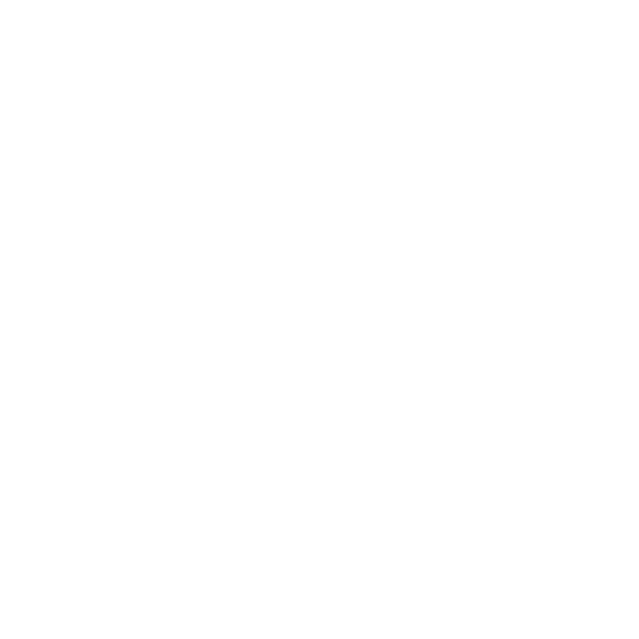 Mão de Obra Especializada